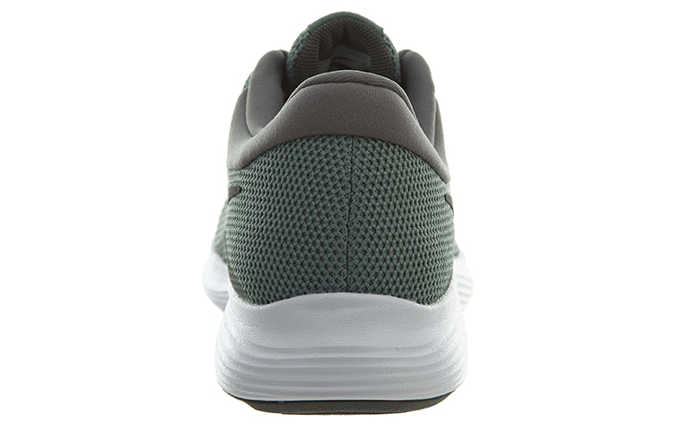 Shop Nike Revolution 4 Gris 908988-300