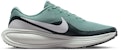Nike Revolution 8 Canon/Seaweed/Pure Platinum/White HJ9198-007
