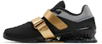 Shop Nike Romaleos 4 'Hitam Emas Metalik' CD3463-001
