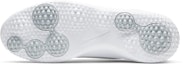 Details for Nike Roshe Golf 'Pure Platinum' Lelaki CD6065-003