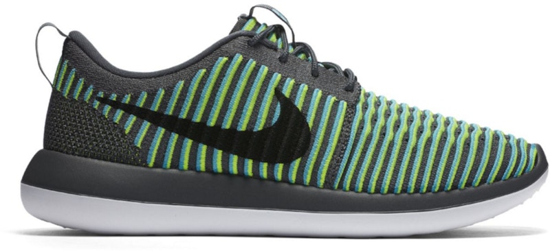 Nike Roshe Two Flyknit 844833-004