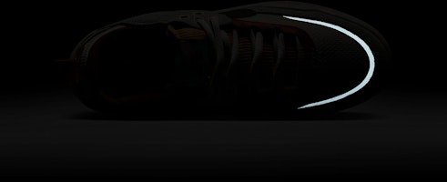 ナイキSBデイワン「ココナッツミルクココナッツ」 HQ3475-121 1