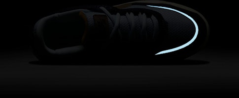 나이키 SB 데이 원 FN4210-402 1