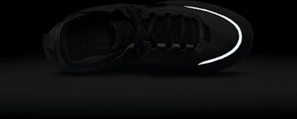 Nike SB Day One SE FN4211-100 1