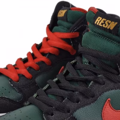Nike SB Dunk High PRM 'RESN' 313171-362 Buy Nike SB Dunk High PRM 'RESN' 313171-362