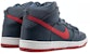 Nike SB Dunk High Pro 'Squadron Blue University Red' 305050-463