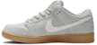 Nike SB Dunk Low 'Horizon Green' Hijau Horizon BQ6817-300