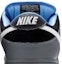 Sizing Nike SB Dunk Low 'Petoskey Premier' 313170-014 - Kasut Sneakers Lelaki