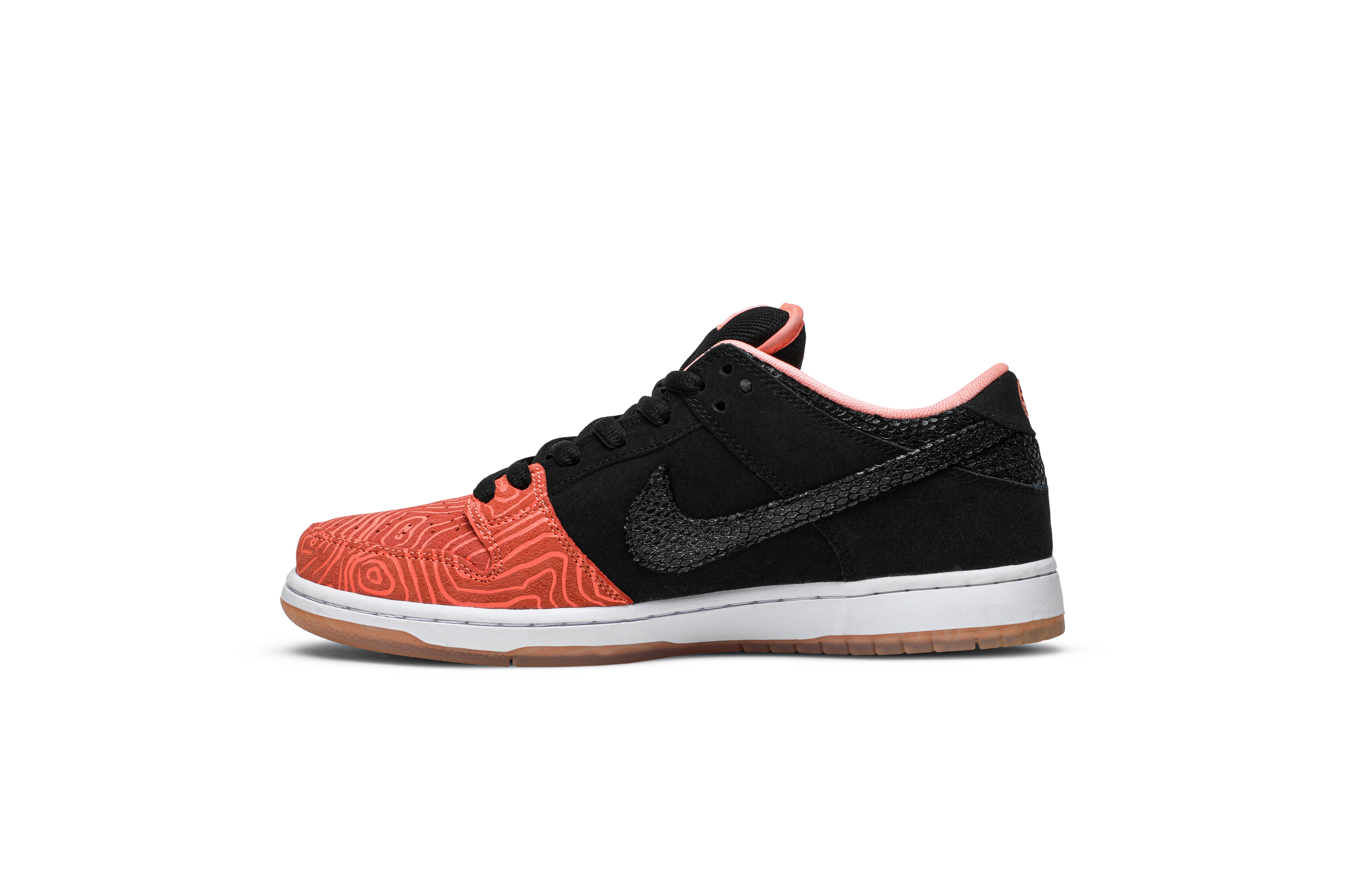 Lookbook Nike SB Dunk Low Premier '鱼梯' 313170-603