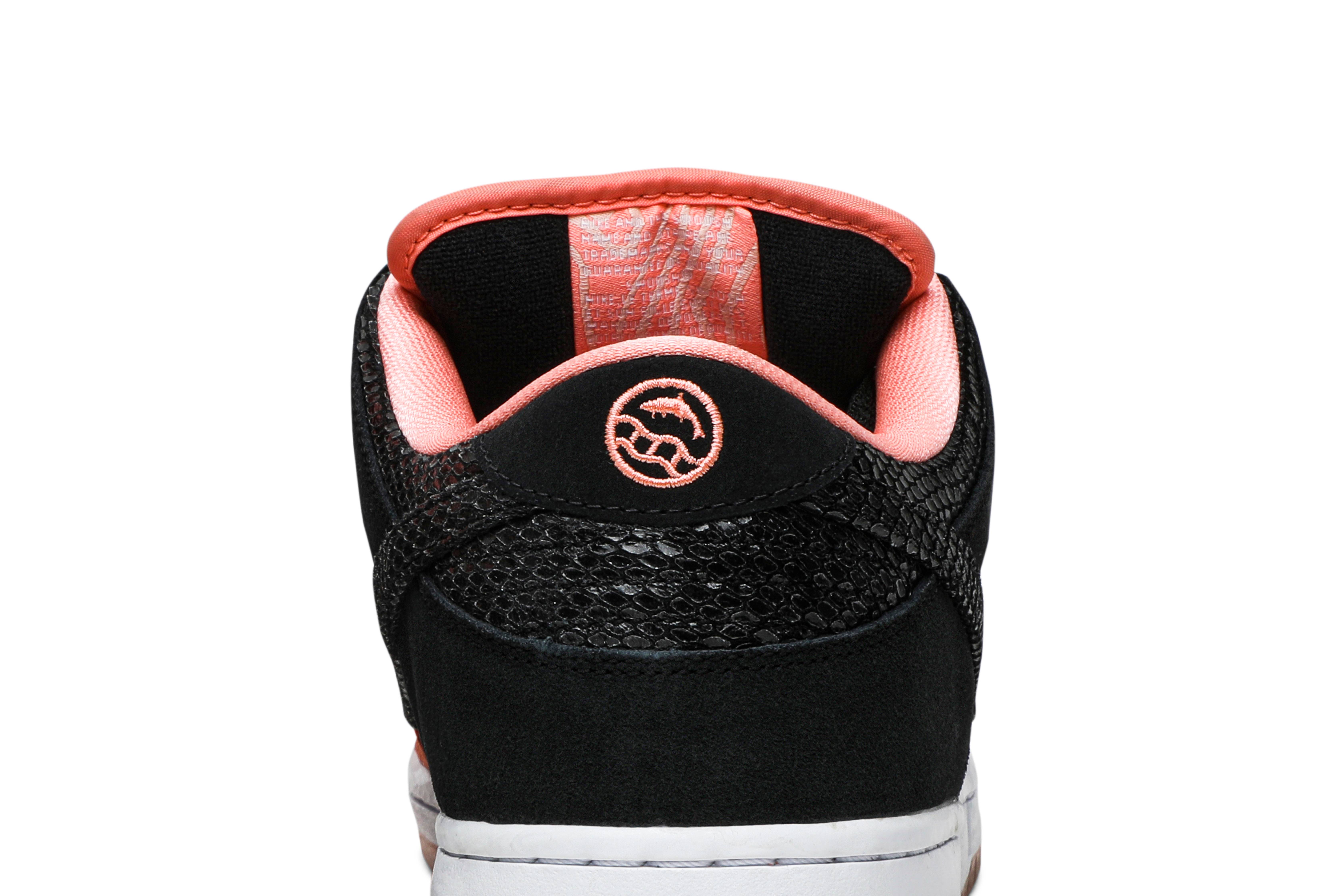 Sizing Nike SB Dunk Low Premier '鱼梯' 313170-603