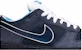 Nike SB Dunk Low Premium 'Blue Lobster' - Kasut Premium Biru Lobster 313170-342