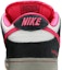 Sizing Nike SB Dunk Low Premium QS 'Disposable' Edición Limitada 504750-061