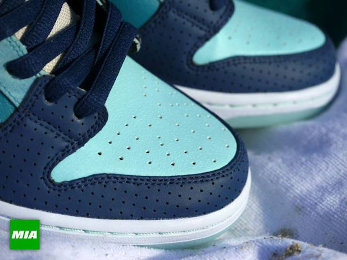 Nike SB Dunk Low Premium QS 'Mia Skate Shop 10th Year Anniversary' 504750-474