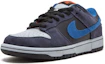 Order Nike SB Dunk Low Pro 'Patagonia' 304292-042