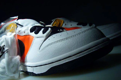 Nike SB Dunk Low Pro 'Raygun Home' 304292-802