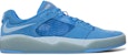 Nike SB Ishod 'Biru' DC7232-401