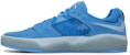 Nike SB Ishod 'Biru' DC7232-401