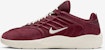 Nike SB Verterbrae Kasut Skateboard FD4691-600