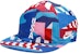 Nike SB x Parra USA Federation Kit Skate Cap 'Brave Blue/White'