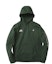 Buy Nike SB x Staple Panda Pigeon Hoodie Green