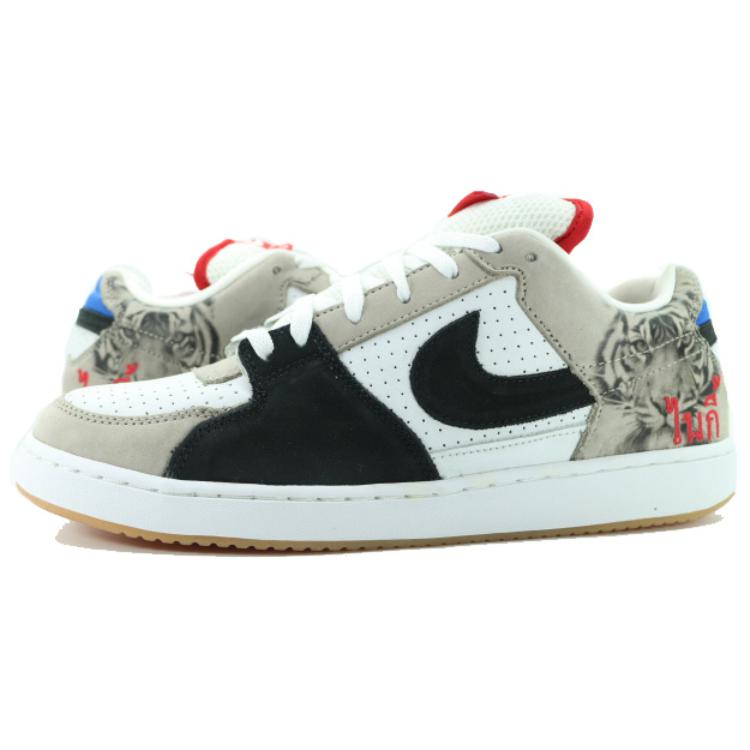 Lookbook Nike SB Zoom Team Edition 'Danny Supa' Sepatu Olahraga Pria 311665-103