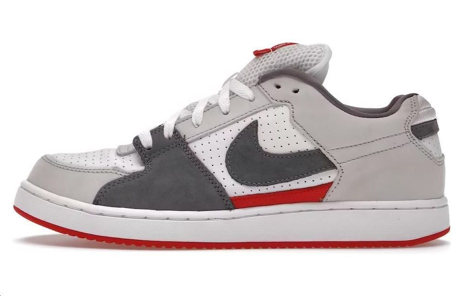 Nike SB Zoom Team Edition 'Family' 311665-101