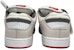 Nike SB Zoom Team Edition 'Keluarga' 311665-101
