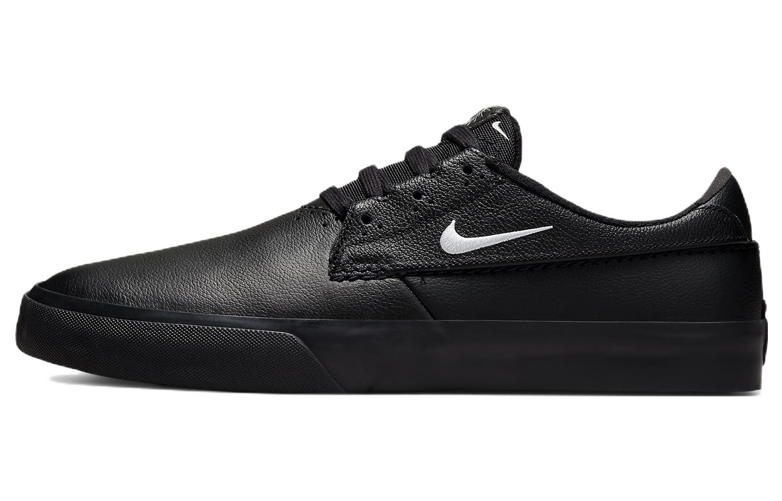 Nike Shane Premium SB 'Triple Black' DM0478-001