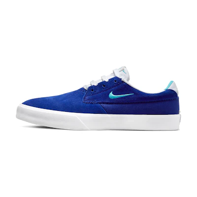 Nike Shane SB 'Concord Turquoise Blue'