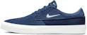Nike Shane SB 'Navy Barely Green' - Biru Tua Hijau Lembut BV0657-405