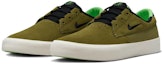 Lookbook Nike Shane SB 'Pilgrim' Kasut Skate Lelaki BV0657-305