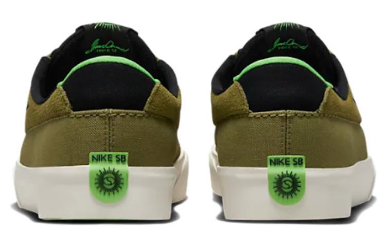 Shop Nike Shane SB 'Peregrino' BV0657-305