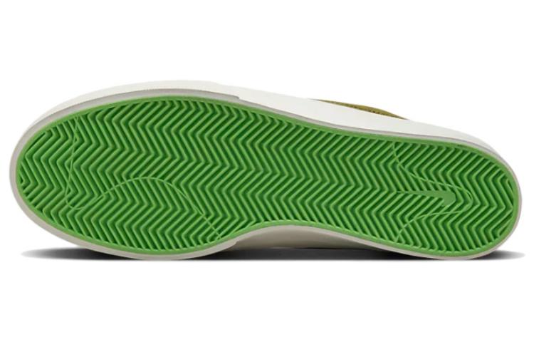 Purchase Nike Shane SB 'Peregrino' BV0657-305