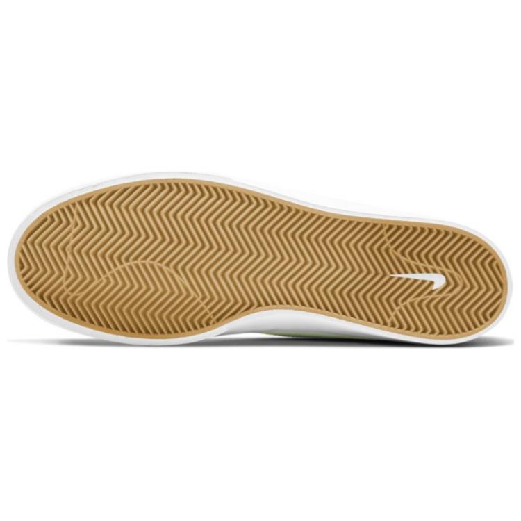 Shop Nike Shane SB 'Putih Summit Biru Diraja' BV0657-103