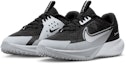 Purchase (Youth) Nike Sonic Fly FZ0017-001