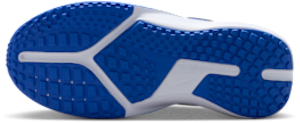 나이키 소닉 플라이 월드 인디고/레이서 블루/풋볼 그레이 FZ0016-402 Order 나이키 소닉 플라이 월드 인디고/레이서 블루/풋볼 그레이 FZ0016-402