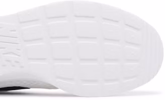 Details for Nike Tanjun 'Blanco Negro' DJ6258-100