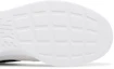 Details for Nike Tanjun ''Blanc Noir'' DJ6258-100
