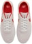 Shop Nike Team Classic SB 'Photon Dust University Red' – Kelabu Fotan Merah Universiti AH3360-014