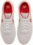 Shop Nike Team Classic SB ''Photon Dust University Red'' Sneaker AH3360-014