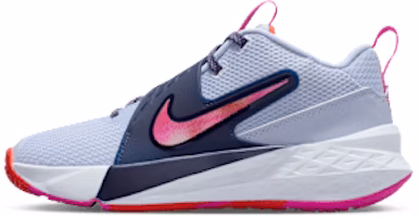 Nike Team Hustle D 12 Ghost/Midnight Navy/Picante Red/Fire Pink HF6279-005 Nike Team Hustle D 12 Ghost/Midnight Navy/Picante Red/Fire Pink HF6279-005
