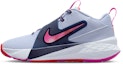 Buy (Youth) Nike Team Hustle D 12 Ghost/Midnight Navy/Picante Red/Fire Pink HF6279-005