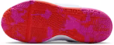 Order (Youth) Nike Team Hustle D 12 Ghost/Midnight Navy/Picante Red/Fire Pink HF6279-005