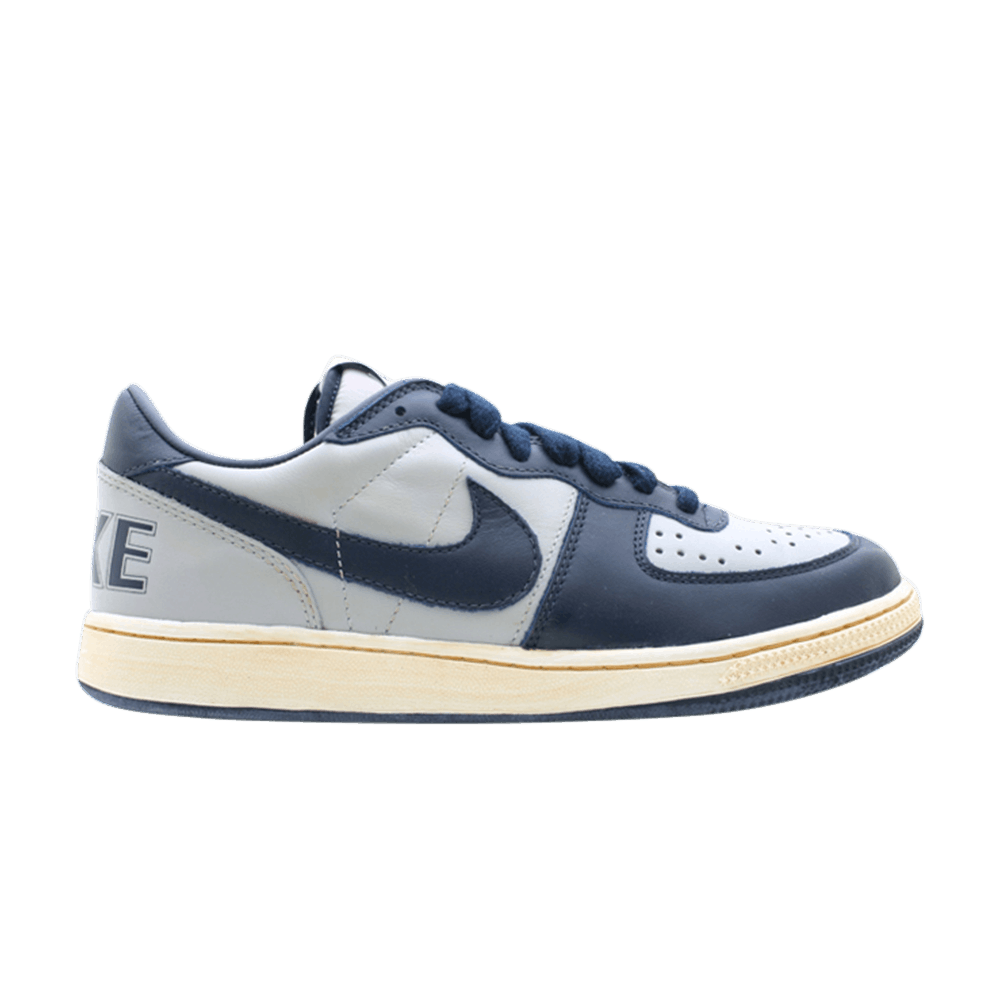 Nike Terminator Low Vntg 'Grey' 334028-041