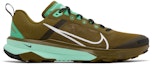 Buy 나이키 테라 카이거 9 "올리브 스프링 그린" DR2693-300