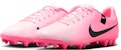 Nike Tiempo Legend 10 Academy AG 'Mad Brilliance Pack' DV4340-601