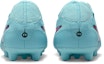 Details for Nike Tiempo Legend 10 Pro DV4332-401