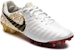 나이키 티엠포 레전드 7 SE FG '화이트 골드' 897796-102