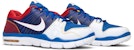 Nike Trainer 1 Low 'Manny Pacquiao' Lelaki 386483-416