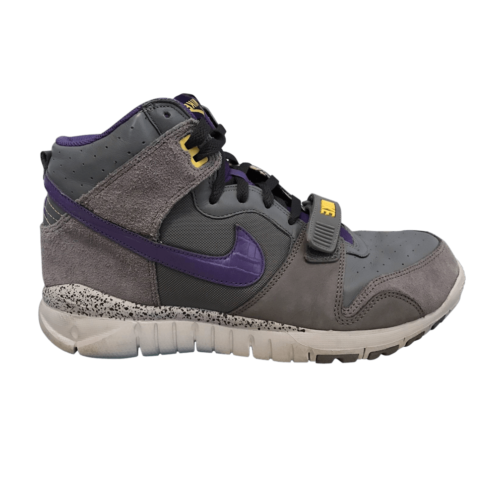 Nike Trainer Dunk High 'Grey' 316589-051